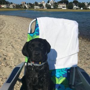 Meet your Posher, Lori